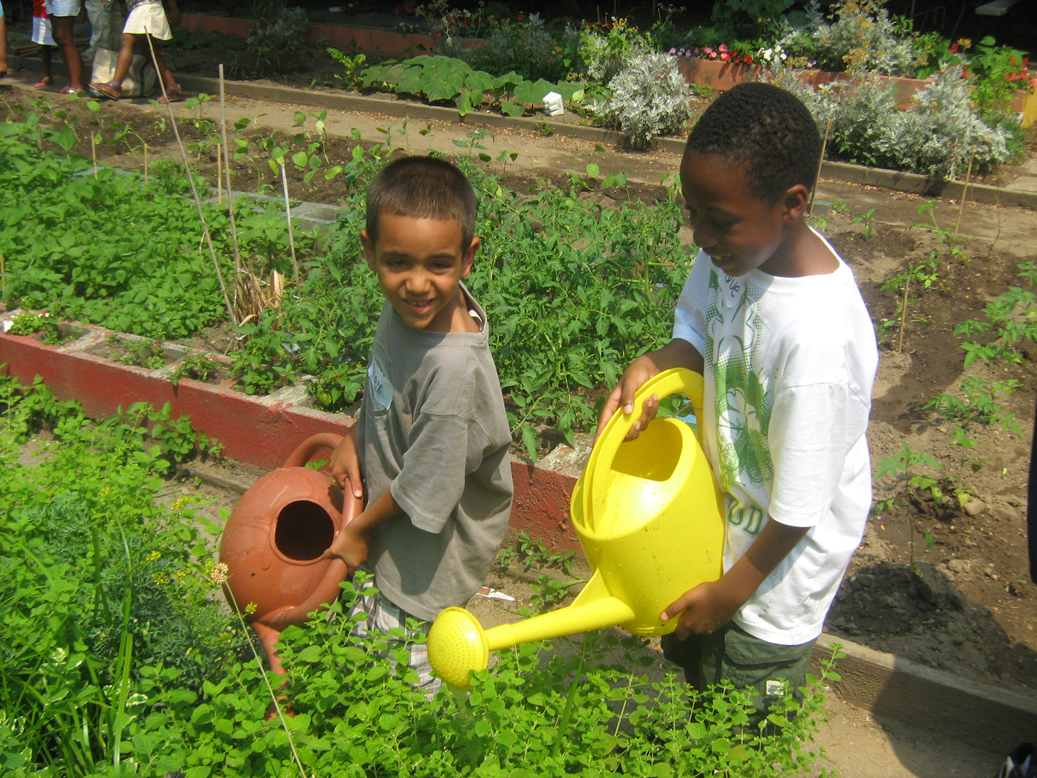 Rooftops and the New Uses to Advance Sustainability and Human Wellness